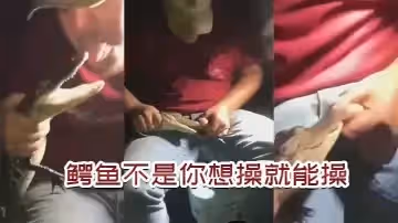 鱷魚不是你想操-想操就能操