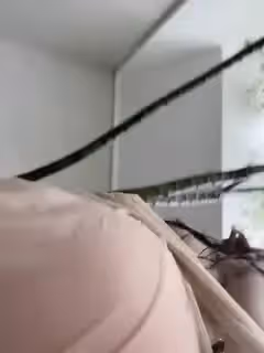 遠古母狗2。