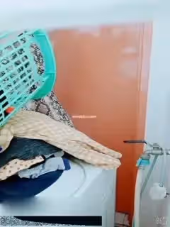 sexykbb 泡沫 性感睡衣 蕾絲內褲 美腿誘惑 廁所自慰 聖誕女郎 瑜伽 修毛