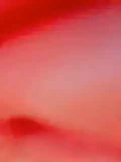 七月很乖