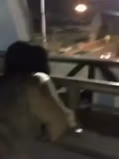 最新流出我和極品女友那些瘋狂事-高速開車女友俯身口交雨天路邊車震高層露出顛覆你認知