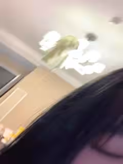 #泡泡咕 ()