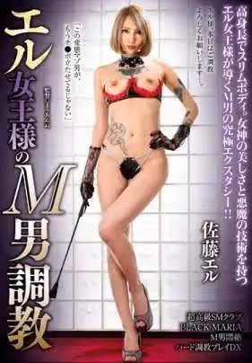 エル女王様のM男调教 佐藤エル
