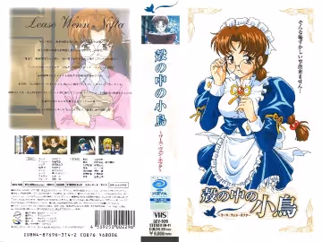 [Discovery] 殼の中の小鳥 第4話「莉茲·薇恩·涅弗妲」