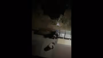 偷情女子跪求男子原諒