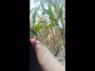 顏值騷遜的村姑女主播禮物刷到500塊到玉米地里電動雞巴插逼電都用光了