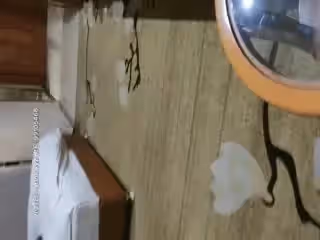 [原版]_018_九一狼探_現實女朋友螢屏首秀啪啪_20210224