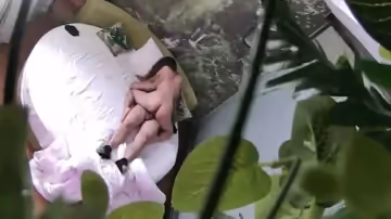 豐滿性感的美女酒店不願意和認識沒多久的紋身男啪啪,被男的3次撲倒在床上最後強插進去幹完後再操時乖乖配合!!