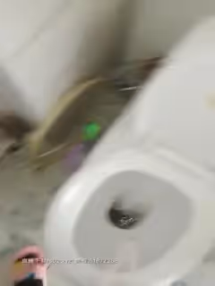 吃饭的时候操里塞个跳弹好刺激，吃饱就脱了裤子让男人给舔操，大鸡巴一撸就立正口活很棒，无套抽插呻吟不止