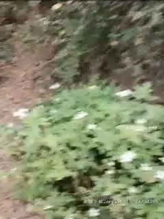 穿著睡衣到山上郊外打野戰(2)