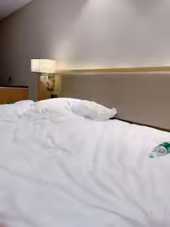 巨乳網紅美女！3小時激情操 逼！站立後入撞擊，兩個大奶直晃動，假屌抽插微毛騷穴，浴缸里騎乘位