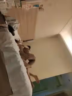 小可愛平台(原卡哇伊)莞式探花1108叫了個漂亮小姐偷拍激情啪啪十分誘人