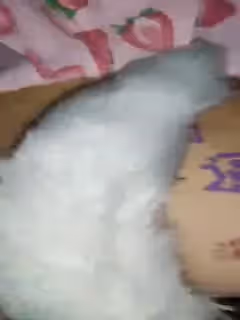 雙馬尾萌妹子跪著玩弄第3部 屁股上寫字肛塞插菊花跳蛋震動來姨媽了 很是誘惑喜歡不要錯過