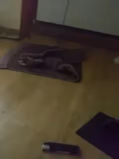 反差母狗7